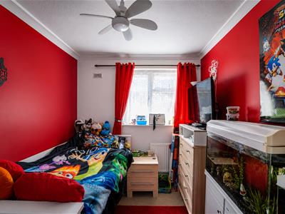 Picture 8